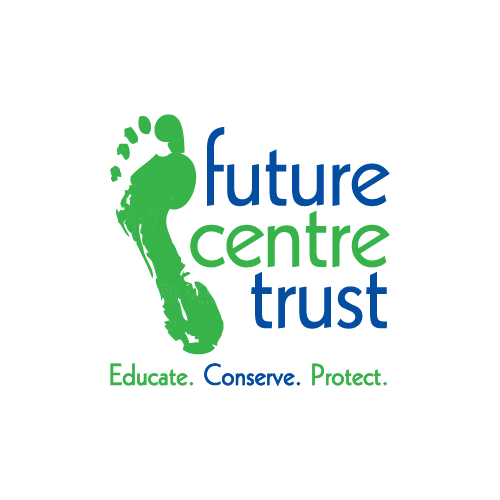 VIRGO Web_In Good Company_RUBIS